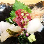 白虹 - 鮪、スミイカ、ヒラメの昆布締め、ヒラメのお造り