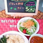 オーガニックハウス - ワンコインのカレー