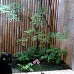 手打ち蕎麦 かね井 - 軒先の一輪挿しも素敵です