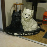 BAR　Q･L･K - 大きな看板犬？(笑)｡