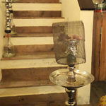 SHISHA de TREE - 