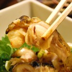 ときわ - ウツボタタキ