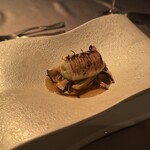 SUD restaurant - 