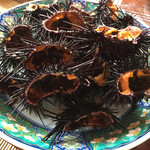 魚山人 - 紫雲丹