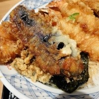 一心 金子 - 茄子
