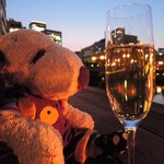 OUI - 日が暮れてきて、ますますラグジュアリーでエグゼクティブなボキ。
      ワインもすすむなぁ～♪
      (しつこいようですが、つぬっこの誕生祝いではありません！)