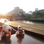 ほら～、いい眺めでしょう。川沿いにテラス席があるんだよ。
          ここは大阪の川床・北浜テラスにあるお店のひとつなんだ。
          
          ちびつぬ「ステキ、ステキ～♪」
          
          夕方になって風も出てきて心地いいね～