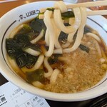 ファミリー食堂 山田うどん食堂 - 料理写真:たぬきうどん