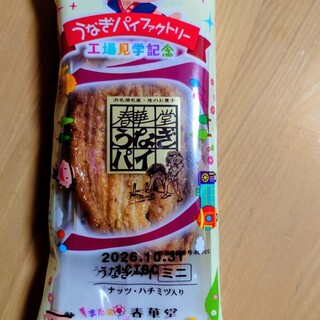 うなぎパイファクトリー 売店_0