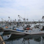 大洗町漁協　かあちゃんの店 - 漁船団☆