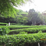 茶室静香亭 - ステキだね！