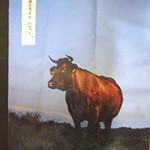 ヌッフ デュ パプ - 里生まれ、山育ち