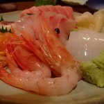 こよい寿司 - 本日のおまかせつまみ