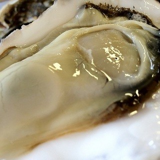 Directly from the farm! Raw Oyster at this time [from Harima, Hyogo Prefecture]