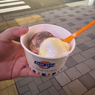 ブルーシール_1