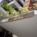 ソーシャルデザインカフェ ソボロ - 2009/7月：二度目に訪れた真夏炎天下の当店