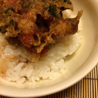 京都祇園 天ぷら八坂圓堂 - かき揚げ丼