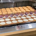 Goza Soro Biera Kakogawa Ten
