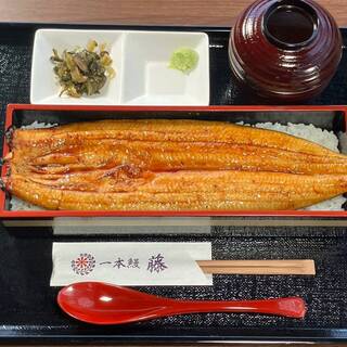一本鰻 藤_1