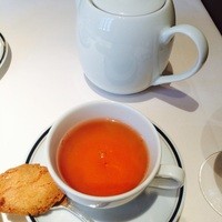 Terres de Truffes, Tokyo - 紅茶はポットサービス◎ ビスコッティ付き