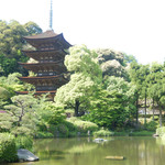 Choushuuen - 瑠璃光寺