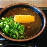 麺屋　まる - 2015.6.2 火曜日のカレーうどん　550円
