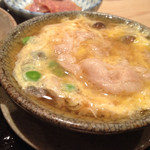 帰燕 - 2015年6月初旬。