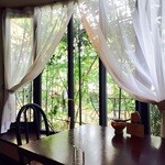 フルーツダイニングパレット - 