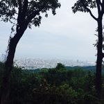 ガーデンレストラン 風舎 - 