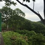 ガーデンレストラン 風舎 - 