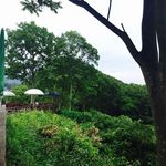 ガーデンレストラン 風舎 - 