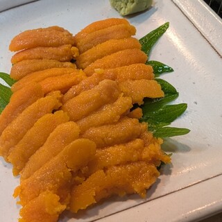 真魚_1
