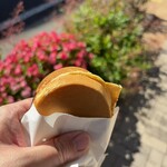富士アイス - 料理写真: