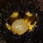 しのはら - 八戸の紫雲丹と伊勢海老