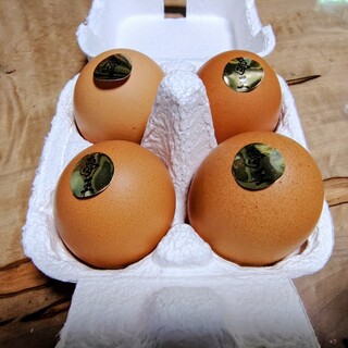 たまごや_0