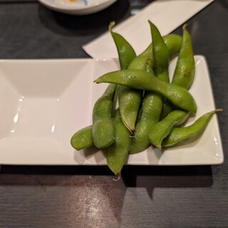 GOCHI ときわ_1