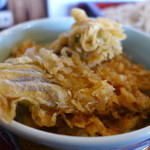 Teuchiudonsobaisshinan - 茄子、ピーマン、南瓜等々、野菜の天丼です。