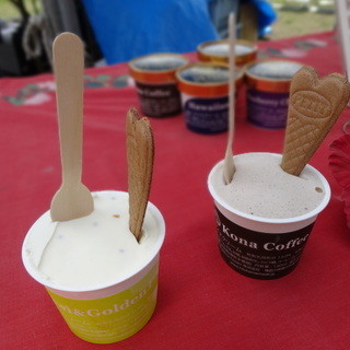 Hilo Homemade Ice Cream_1