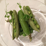 レザンファン ギャテ - 