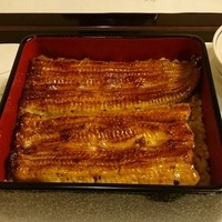 鰻割烹 伊豆栄 梅川亭 - 鰻重 梅