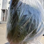 コープさっぽろ - 料理写真:フリルレタスを袋に入れて窒息させます。