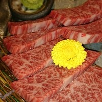 吟味屋 北浜店 - 
