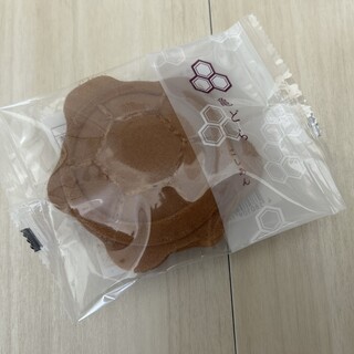 亀屋_0