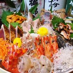 どらもみじ　レッド