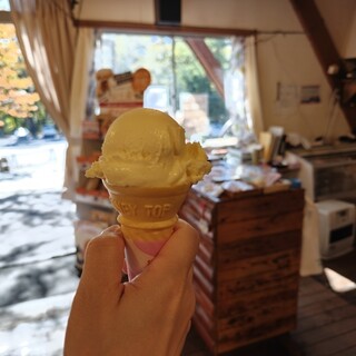 コートクコラール_0