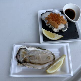 BAY OYSTER_0