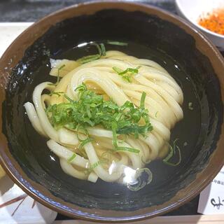 本場讃岐うどん めりけんや_1