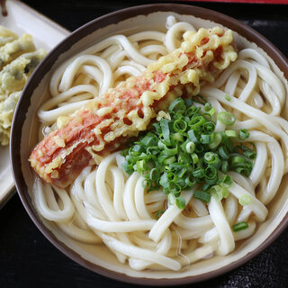 ぼっこ屋_0