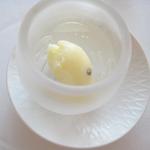 Shin Harada - レモンとパッションフルーツのシャーベット