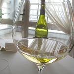 Shin Harada - ？　グラス　￥1800